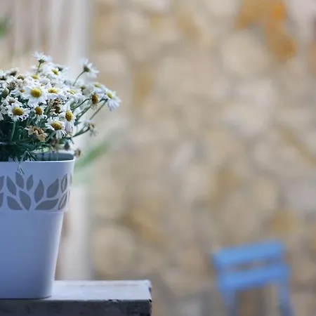 Blue Courtyard Howme باري
